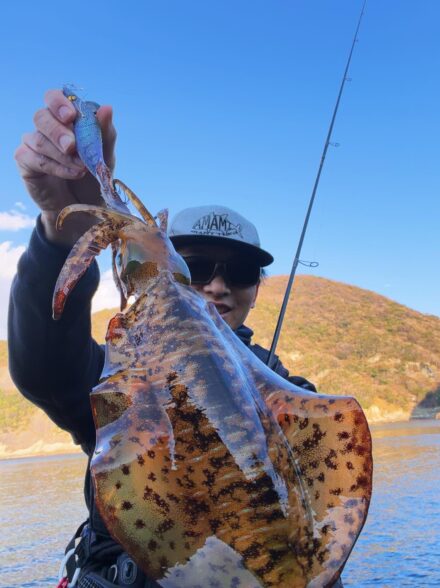 西伊豆エギング調査1