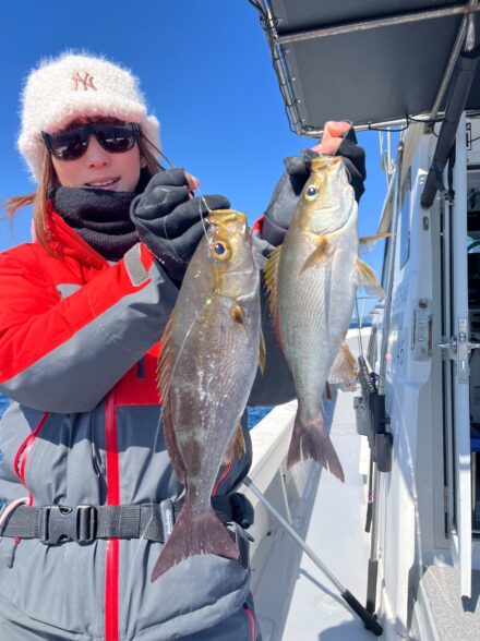 ティップラン天秤リレー便🦑🐟️