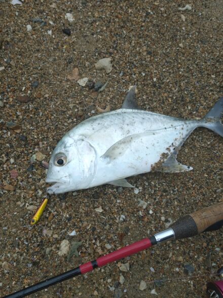 石垣島遠征ＤＡＹ３　河口部のライトゲーム