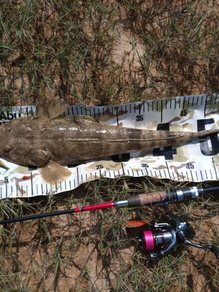 石垣島遠征DAY2 シャローフラットのライトゲーム