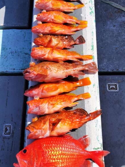 西伊豆・土肥沖でハチャメチャフィッシング！？