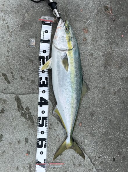 春のショアジギング2本立て🌸