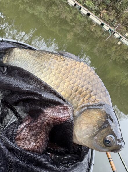 清遊湖にて初心者講座！