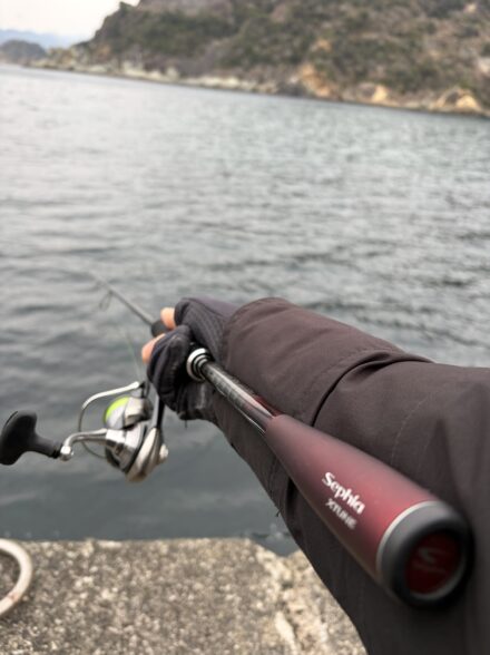 西伊豆エギング調査2