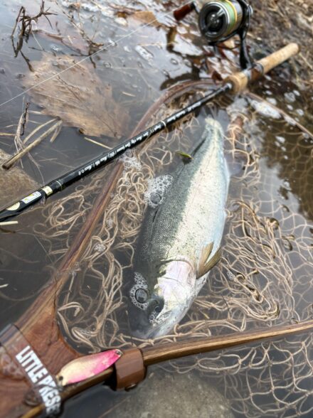 東古屋湖　解禁