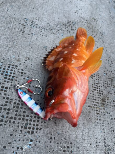 大忠丸近海ジギング便