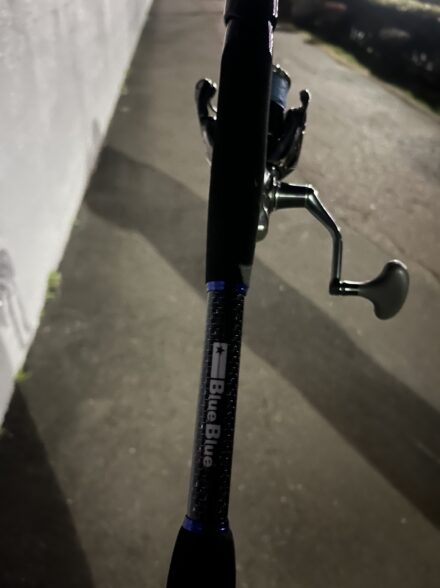 東京湾奥チニング②