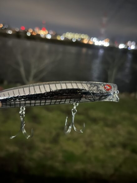 東京湾奥シーバス釣行①