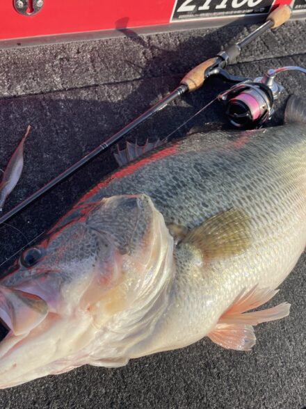 ミドストでロクなし10lb!