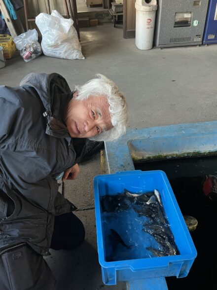 釣り堀中の島センター鯉釣