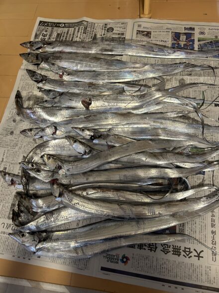 東京湾タチウオジギング！