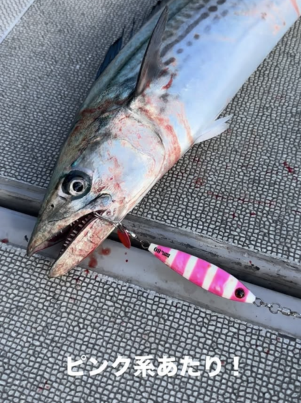 3/11 トップスジャパンさんでブレードジギング