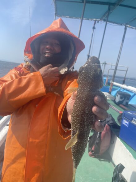 日ムラはありますが　カットウフグ＠海蓮丸さん