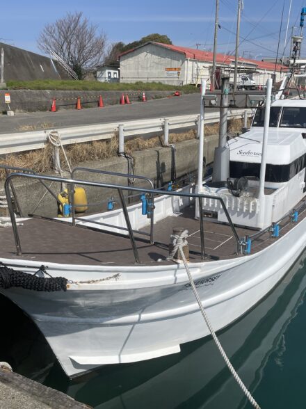 これからに期待　グレジギング＠シーホースさん