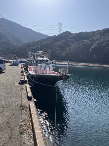 ヤリイカなのに…