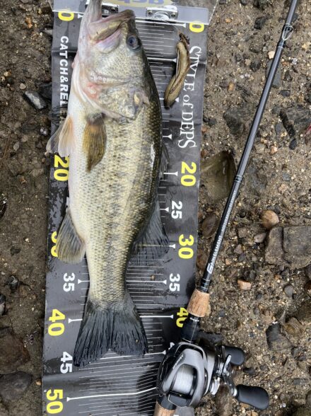 琵琶湖陸っぱり釣行