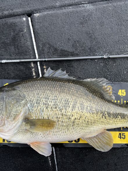湖北レンタルボート釣行