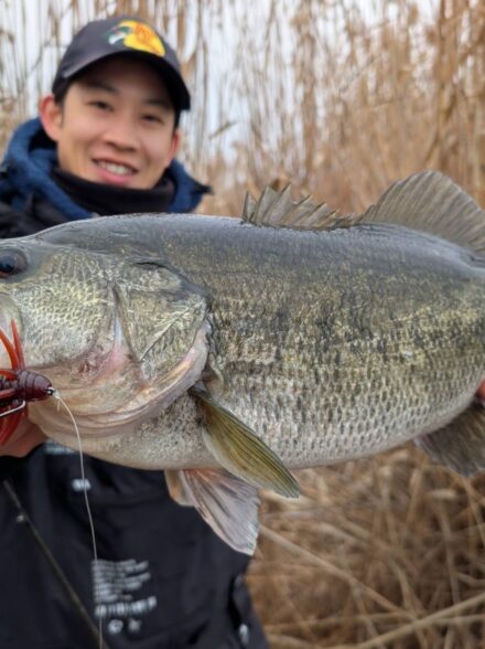 コイケシュリンプマグナムは外せない！