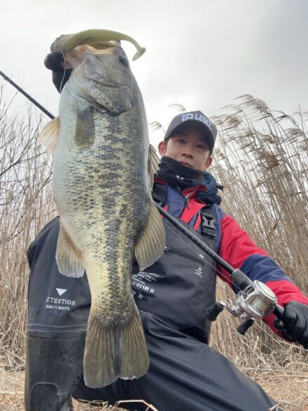 シャッドテールが熱い！