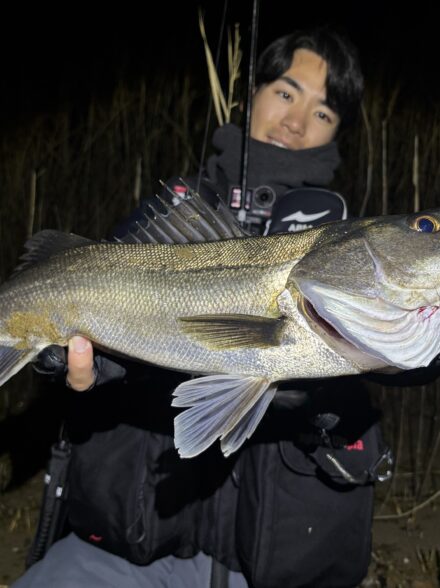 今年の初シーバス釣行！