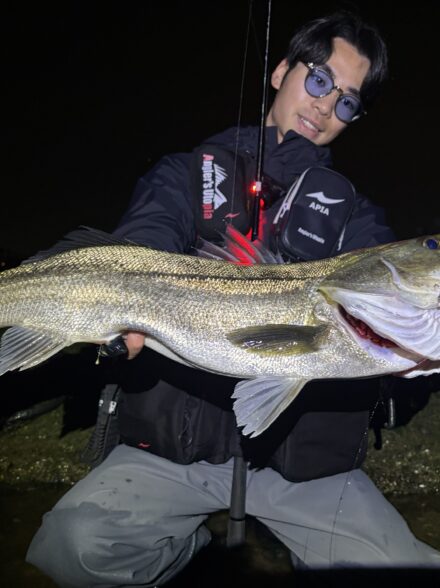 バチ抜け調査①