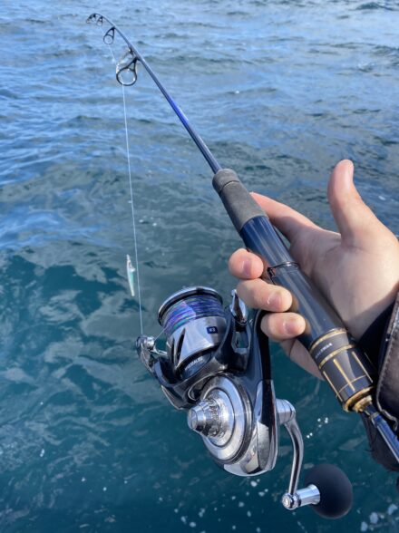 ダイワジギング実釣会