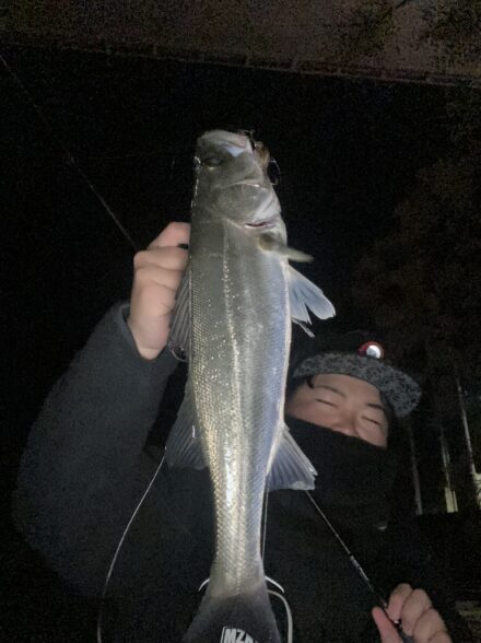 イージーハクパターン