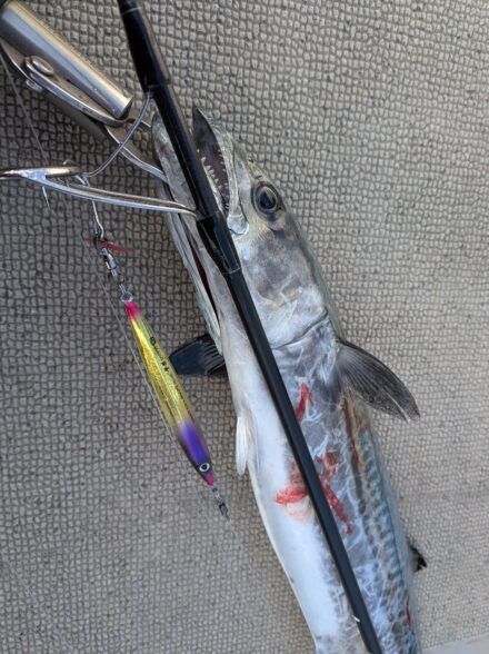 日本海ブレードジギング3月11日