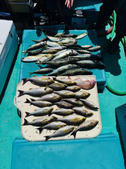和歌山中紀 アジ・イサキ釣り
