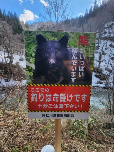 秋田遠征~雪渓の雪代イワナ編~