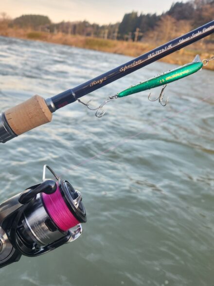 秋田遠征~春を告げる魚 サクラマス編~