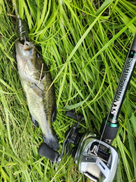 霞水系で春のバスを