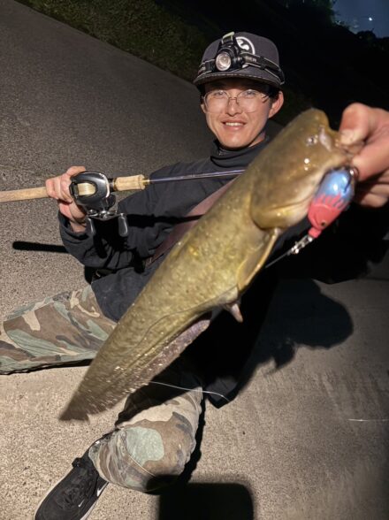 今季初ナマズゲット!