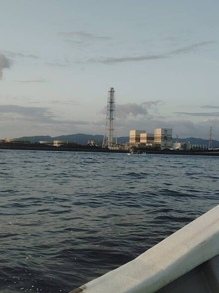 和歌山中紀　アオリイカティップラン