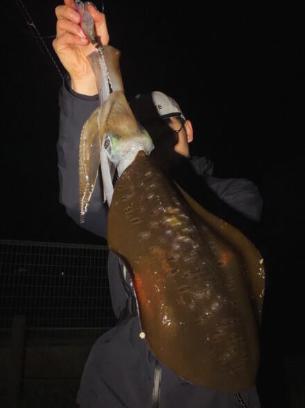 伊豆春爆エギング