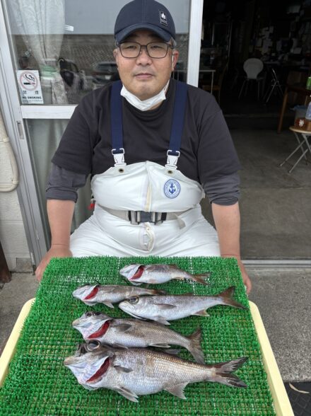 相模湾の根魚五目
