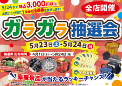 ガラガラ抽選会！