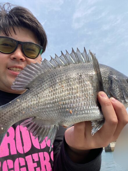 しまなみ　乗っ込みチヌ