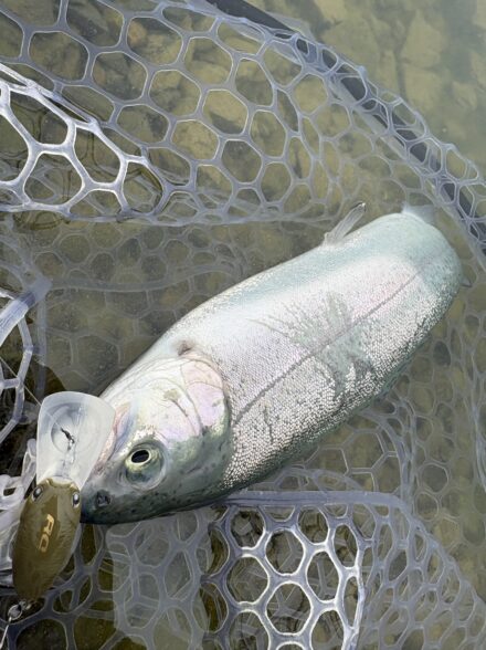 へら師が行くエリアトラウトの旅！加賀フィッシングエリア編③