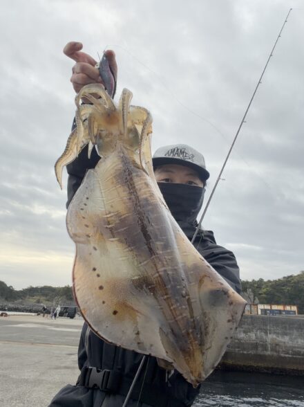 キロオーバーアオリイカ！