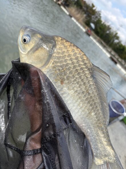ワイワイクラブ4月例会!