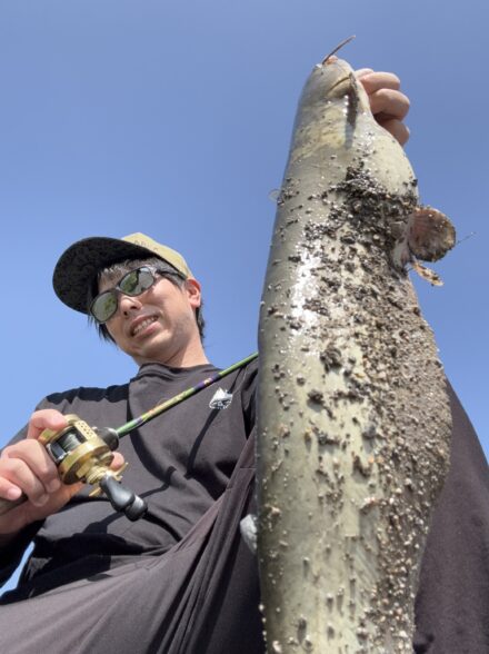 デイナマがアツい