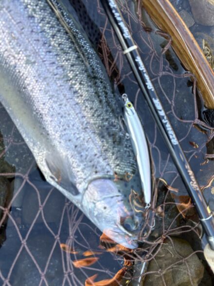 中禅寺湖の弾丸ブルーバック