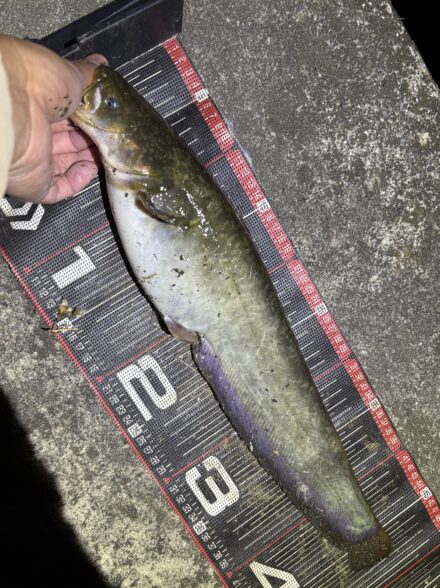 ルアーチューンで攻略！