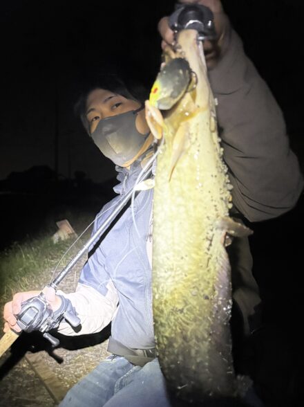 悶絶のナマズゲーム！