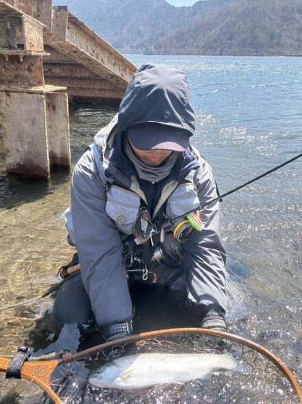 爆風の表層ブルーバック狩り