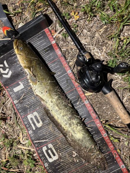 ルアーチューンを色々と試す。