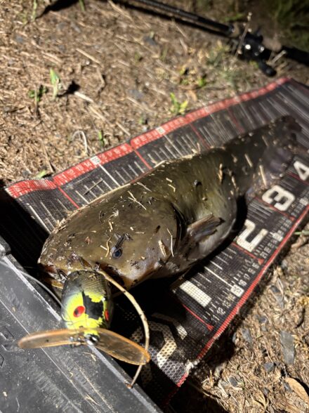 ナナマルの聖地へ