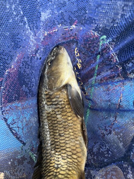 中ノ島釣り堀センター②