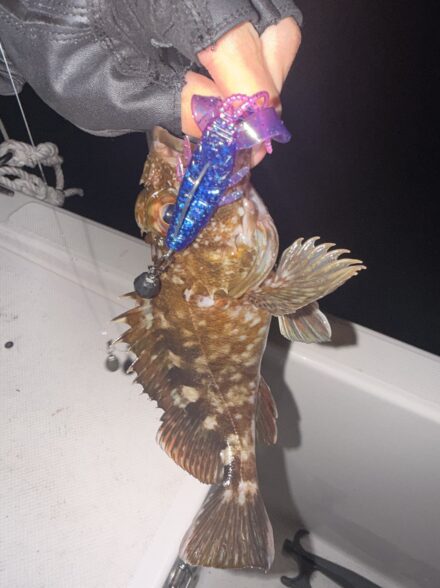 名港ボートロックフィッシュ